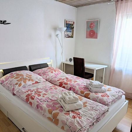 Gemuetliche 90 Qm Wohnung In Saarburg, Zentral Gelegen, Garten Mit Aussicht, Separater Eingang Exteriör bild