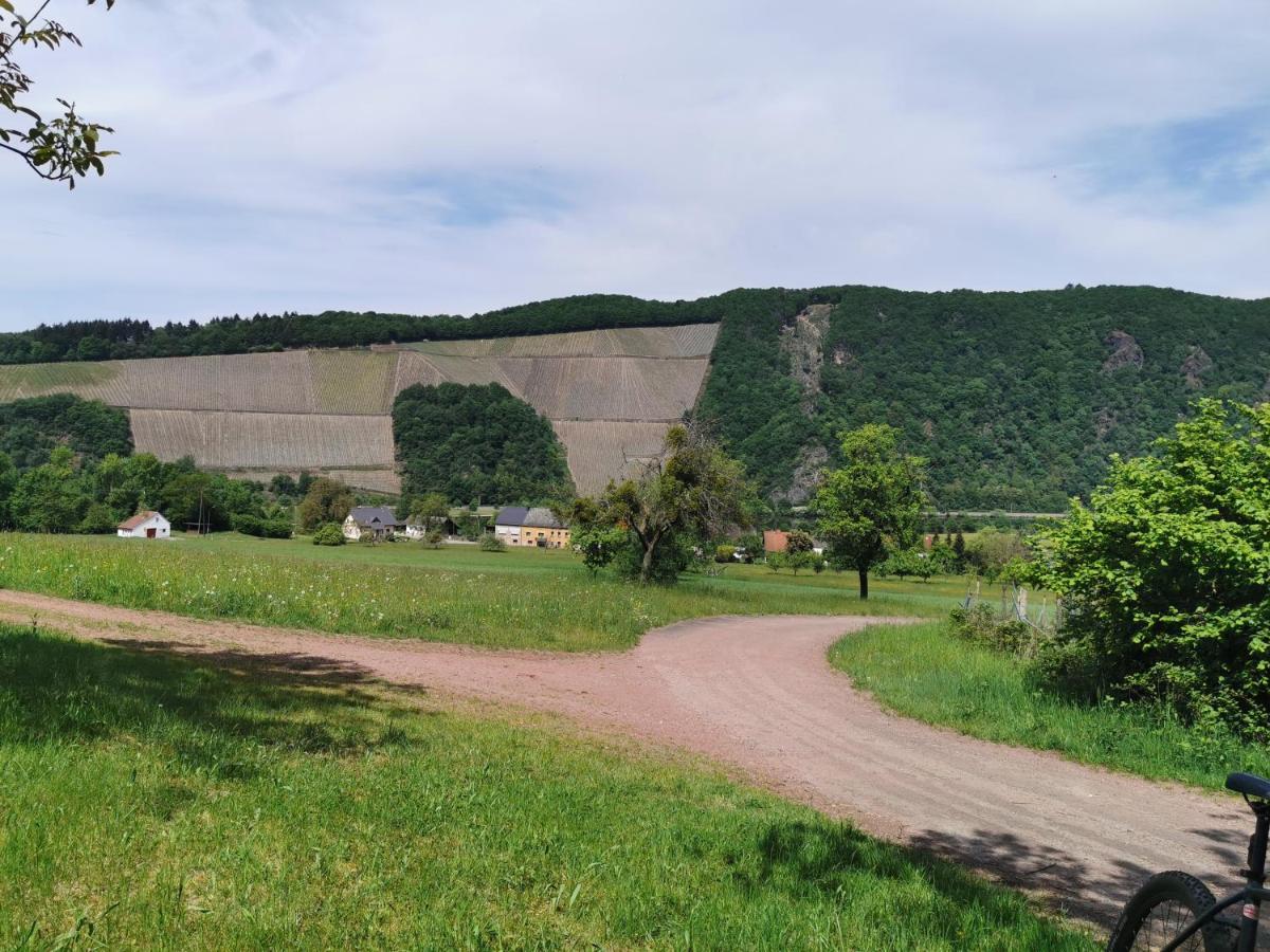 Gemuetliche 90 Qm Wohnung In Saarburg, Zentral Gelegen, Garten Mit Aussicht, Separater Eingang Exteriör bild